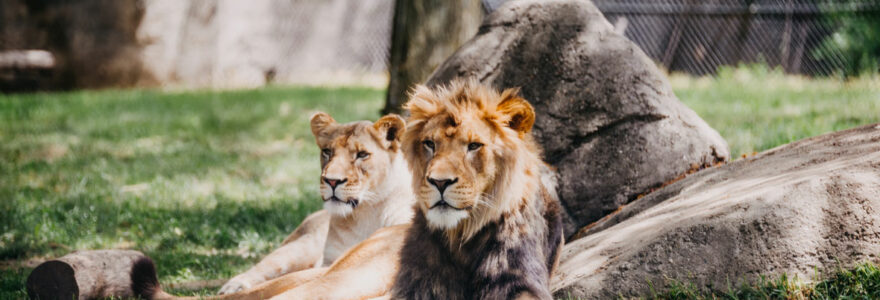 Les parcs animaliers en France